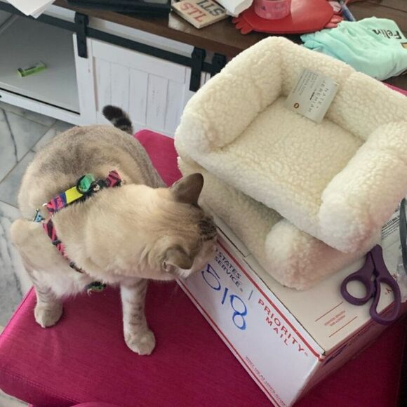 5 Couches Nate + Jeremiah Faux Sherpa Small Pet Couch - Picture 4 of 4